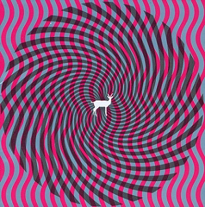 <i>Cryptograms</i> (album) 2007 studio album by Deerhunter