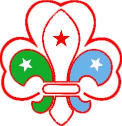 File:GenLes Scouts de Djibouti.jpg