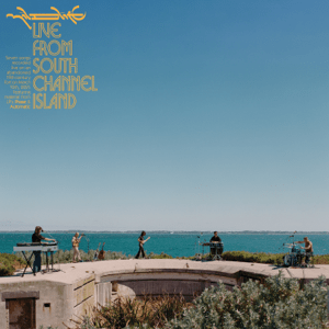 <i>Live from South Channel Island</i> 2021 live album by Mildlife