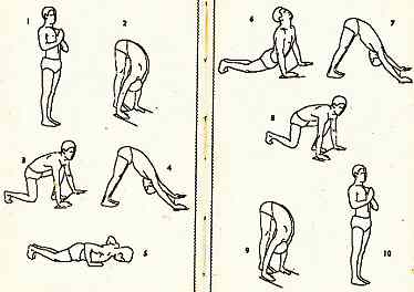 Surya Namaskar Yoga Benefits How to Do Sequence Poses