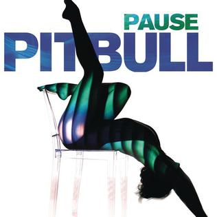 Pause (Pitbull song)