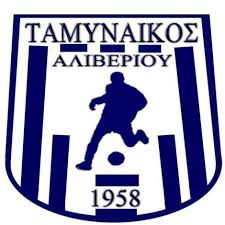 <span class="mw-page-title-main">Tamynaikos F.C.</span> Football club