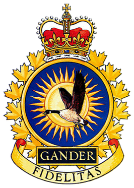 File:CFB Gander 9 Wing crest.png