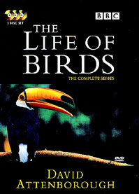 Life of Birds [VHS](品)　(shin