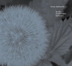 <i>In the Pendulums Embrace</i> 2007 studio album by Oren Ambarchi