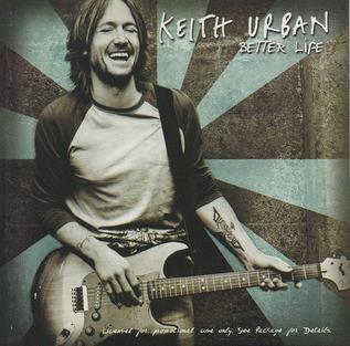 Better Life 2005 single by Keith Urban