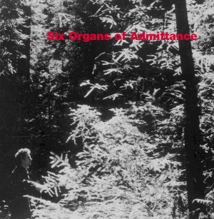 <i>Six Organs of Admittance</i> (album) 1998 studio album by Six Organs of Admittance