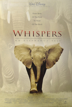 <i>Whispers: An Elephants Tale</i> 2000 film by Derek Joubert