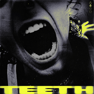 File:5 Seconds of Summer - Teeth.png