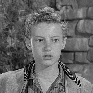 <span class="mw-page-title-main">Eddie Haskell</span> Character in Leave It to Beaver