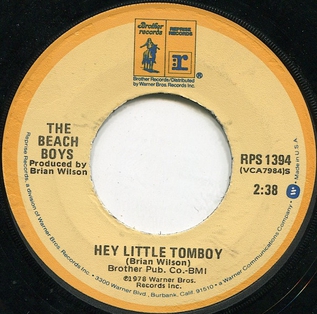 <span class="mw-page-title-main">Hey Little Tomboy</span> 1978 single by the Beach Boys