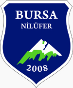 Former club crest Niluferb.jpg