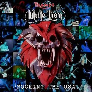 <i>Rocking the USA</i> 2005 live album by White Lion