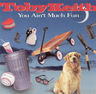 <span class="mw-page-title-main">You Ain't Much Fun</span> 1995 single by Toby Keith