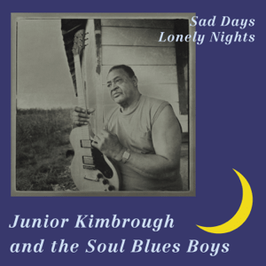 <i>Sad Days, Lonely Nights</i> 1994 live album by Junior Kimbrough