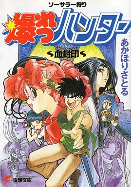 <i>Sorcerer Hunters</i> Japanese light novel and manga series