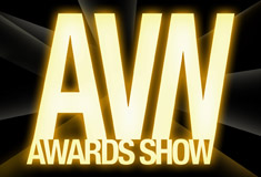 File:2007 AVN Awards Show Logo.jpeg