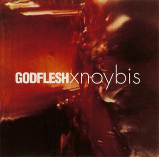 Xnoybis Song by Godflesh