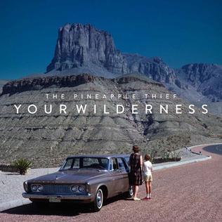 <i>Your Wilderness</i> 2016 studio album by the Pineapple Thief