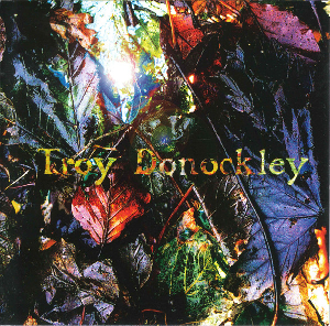 File:TroyDonockley UnseenStream.jpg