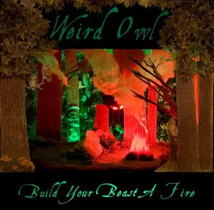 <i>Build Your Beast a Fire</i> 2011 studio album by Weird Owl