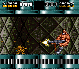 Battletoads Double Dragon   -  7