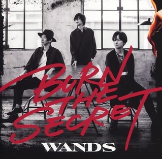 <i>Burn the Secret</i> 2020 studio album by Wands