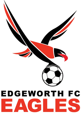 File:Edgeworth Eagles FC.png