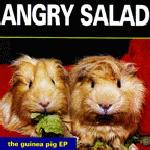 <i>The Guinea Pig EP</i> 1993 EP by Angry Salad