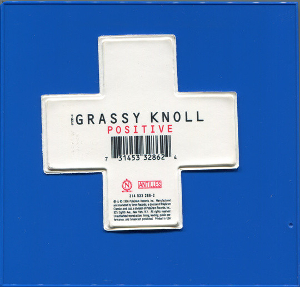 <i>Positive</i> (The Grassy Knoll album) 1996 studio album by The Grassy Knoll