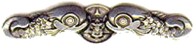 File:Sea Scout SEAL.png