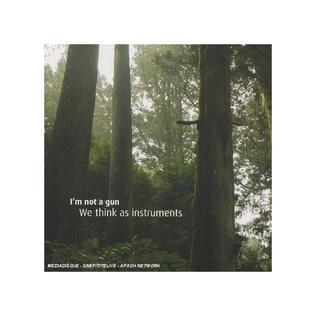 <i>We Think as Instruments</i> 2006 studio album by Im Not a Gun