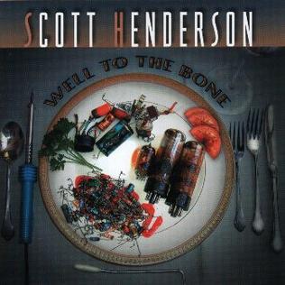 <i>Well to the Bone</i> 2002 studio album by Scott Henderson