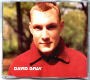 File:Wisdom David Gray.jpg