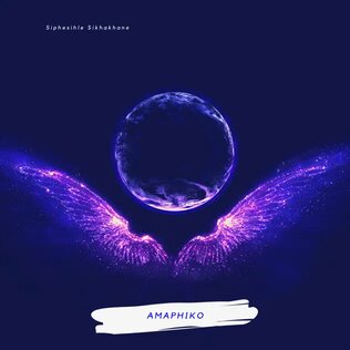 <span class="mw-page-title-main">Amaphiko</span> 2021 single by Siphesihle Skhakhane