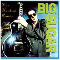 <i>Five Hundred Pounds</i> 1993 studio album by Big Sugar