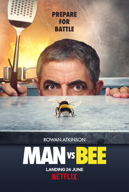 File:Man vs Bee.png