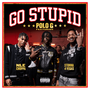 <span class="mw-page-title-main">Go Stupid</span> 2020 song by Polo G, Stunna 4 Vegas, NLE Choppa featuring Mike Will Made It