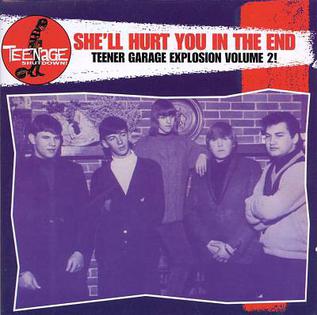 <i>Teenage Shutdown! Shell Hurt You in the End</i> 1998 compilation album