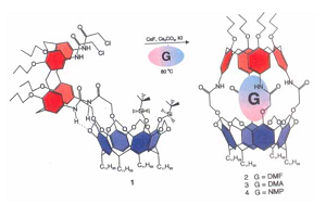 "Gambar dari calix-[4]-arene carceplex"