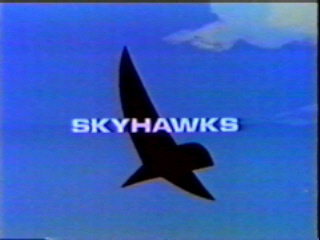 <i>Skyhawks</i> (TV series)