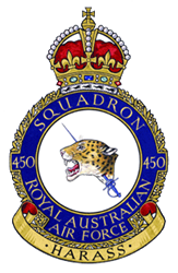 <span class="mw-page-title-main">No. 450 Squadron RAAF</span> Royal Australian Air Force fighter squadron