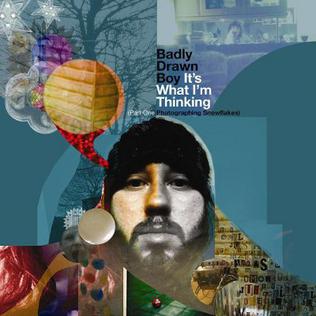 <i>Its What Im Thinking Pt.1 – Photographing Snowflakes</i> 2010 studio album by Badly Drawn Boy