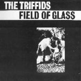 <i>Field of Glass</i> 1985 EP by The Triffids