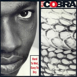 <i>Hard to Wet, Easy to Dry</i> 1992 studio album by Mad Cobra