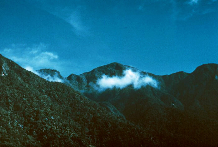 File:Pico Torquino in the Sierra Maestra, Cuba's highest mountain, 1974 meters.jpg