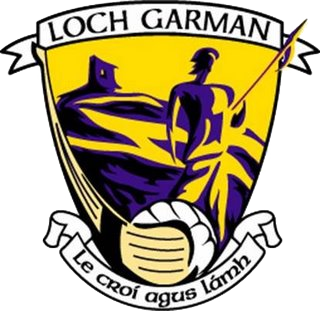 <span class="mw-page-title-main">Wexford GAA</span> County board of the Gaelic Athletic Association in Ireland