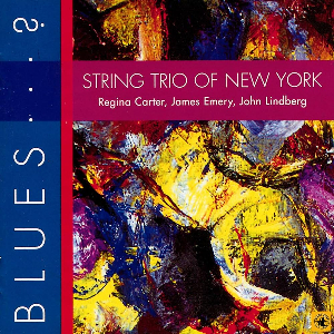 <i>Blues...?</i> 1993 studio album by String Trio of New York