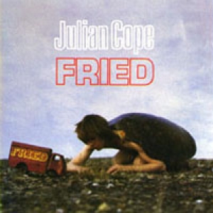 <i>Fried</i> (album) 1984 studio album by Julian Cope