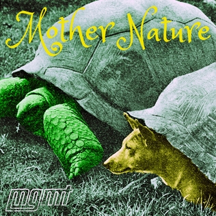 <span class="mw-page-title-main">Mother Nature (MGMT song)</span> 2023 song by MGMT